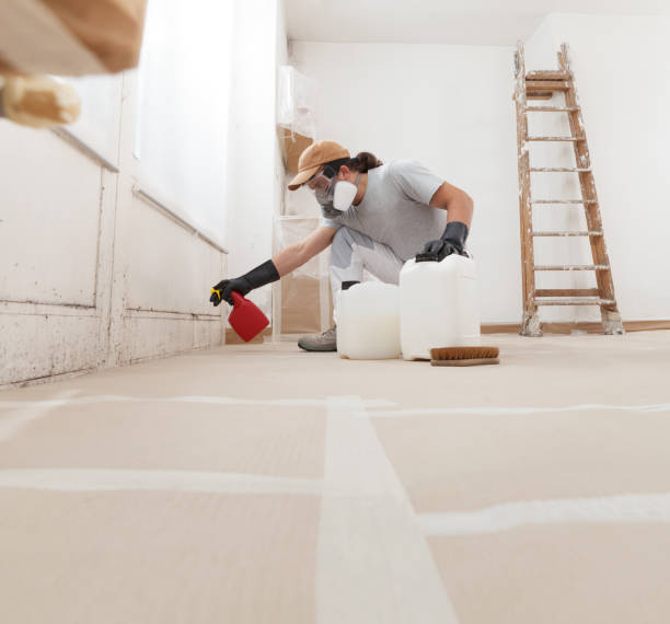 Best Mold Odor Removal Services  in Sonterra, TX